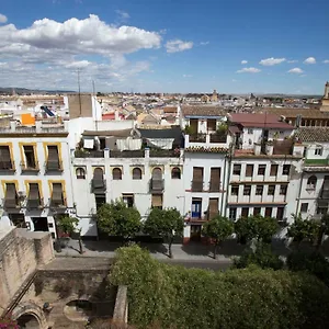 La Casa De Las Flores De La Juderia Appartement